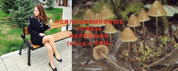 бутик Бородино