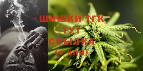 мдпв Бронницы