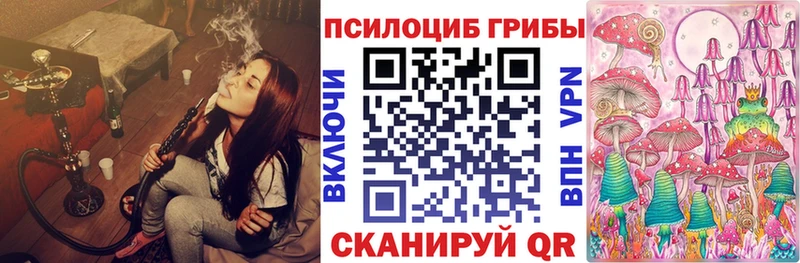 Купить закладки  Моздок  Галлюциногенные грибы ЛСД 