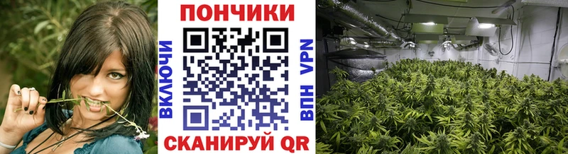 Марихуана индика Моздок